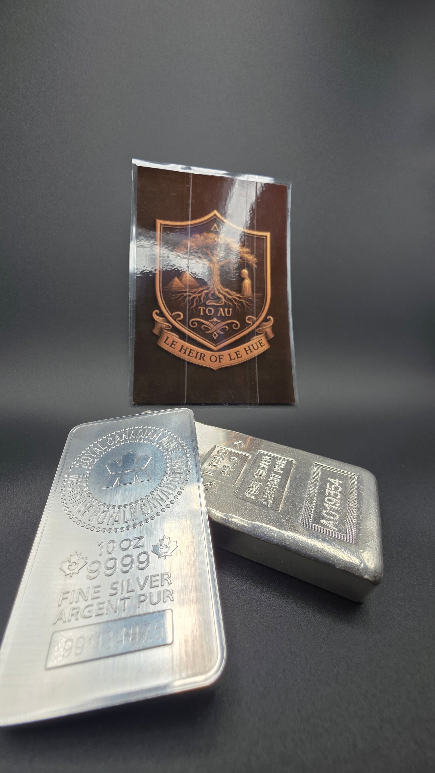 10 oz Royal Canadian Mint .9999 Fine Silver Bar - RCM Hallmark